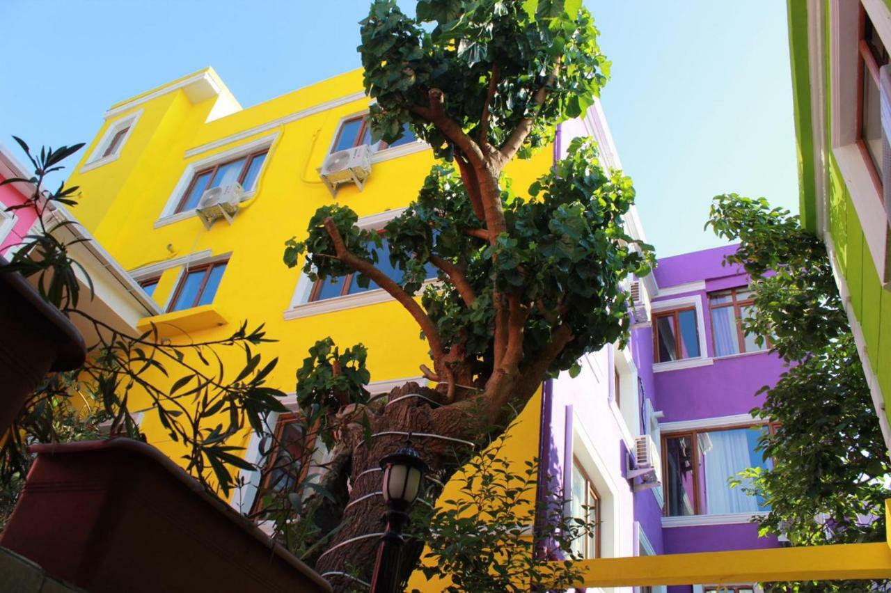 The Zanadu Istambul